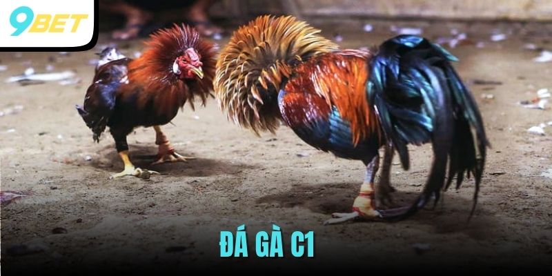 da-ga-c1